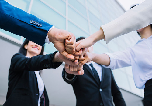 Experienced Professionals